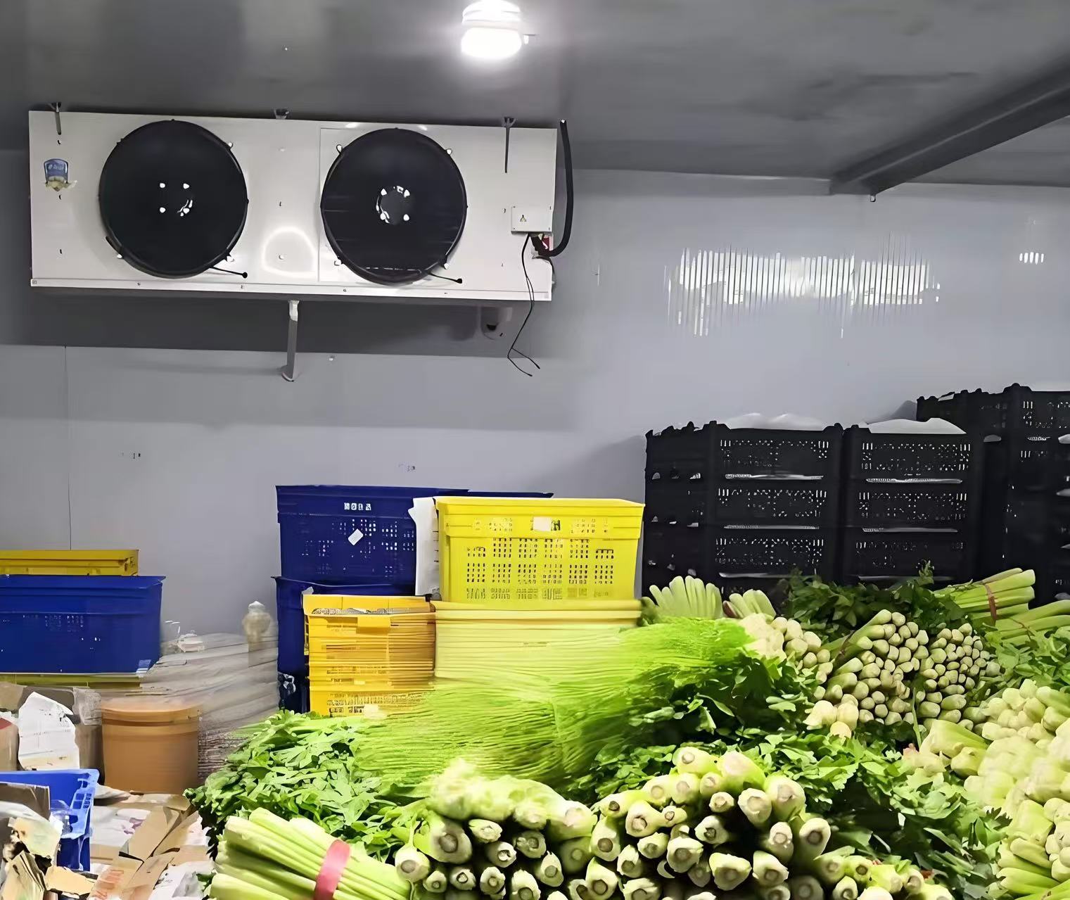 各种水果蔬菜的储存适宜温度